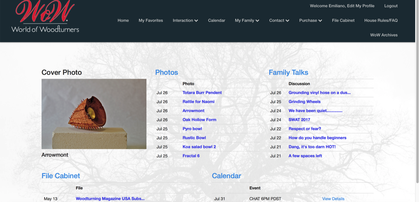 My collaboration piece with Irish artist and woodturner Emmet Kane was chosen as cover photo for The WOW, the worlds best woodturning website. July 22 2017   My collaboration piece with Irish artist and woodturner Emmet Kane was chosen as cover photo for The WOW, the worlds best woodturning website. July 22 2017